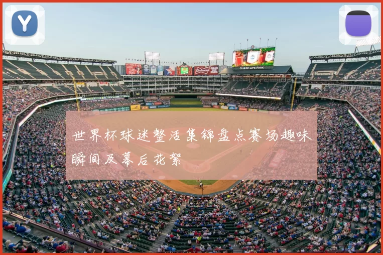世界杯球迷整活集锦盘点赛场趣味瞬间及幕后花絮