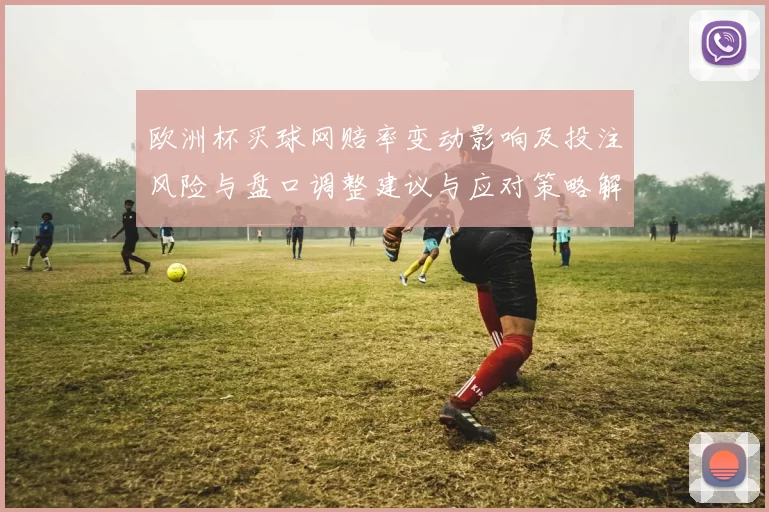 欧洲杯买球网赔率变动影响及投注风险与盘口调整建议与应对策略解读