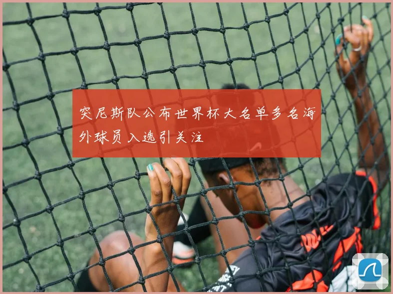 突尼斯队公布世界杯大名单多名海外球员入选引关注